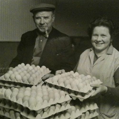 De eerste generatie Wijen met stapels eierdozen, in de begintijd van het bedrijf